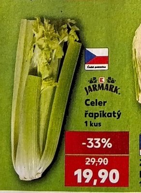 Celer řapíkatý