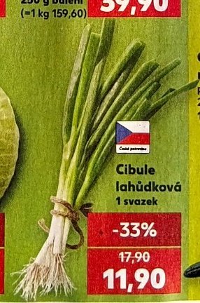 Cibule lahůdková