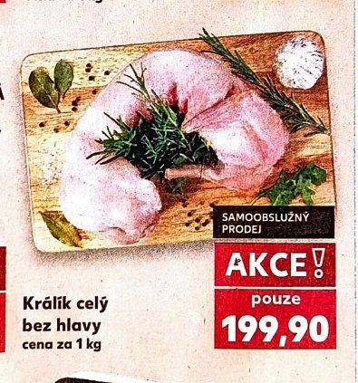 Králík celý bez hlavy