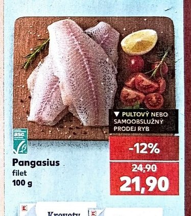 Pangasius filet