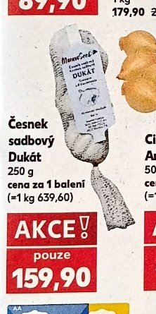Česnek sadbový Dukát