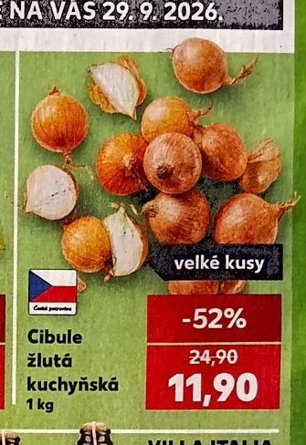 Cibule žlutá kuchyňská 1 kg