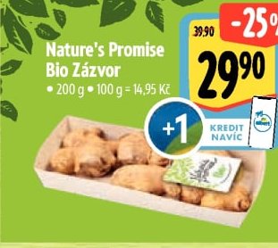 Nature's Promise Bio Zázvor