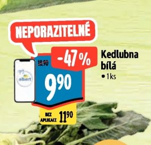 Kedlubna bílá