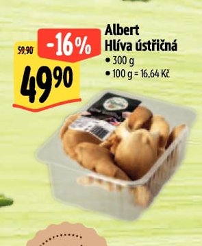 Albert Hliva ústřičná