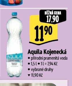 Aquila Kojenecká