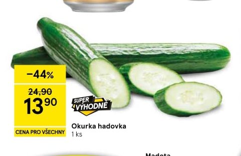 Okurka hadovka