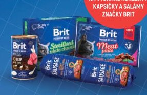 Brit konzerva