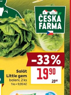 Salát Little gem