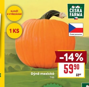 Dýně mexická