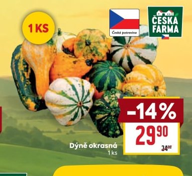 Dýně okrasná