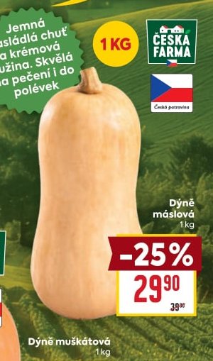 Dýně máslová