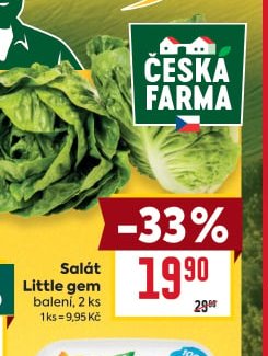 Salát Little gem
