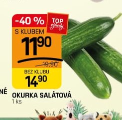 Okurka salátová