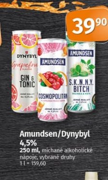Amundsen/Dynybyl