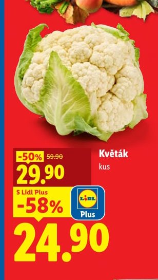 Květák kus