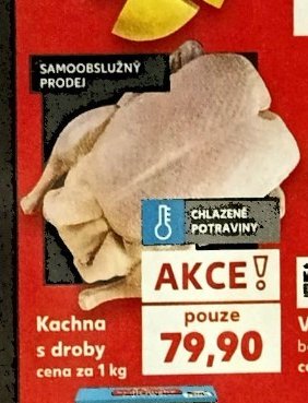Kachna s droby