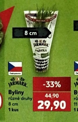 Byliny pažitka