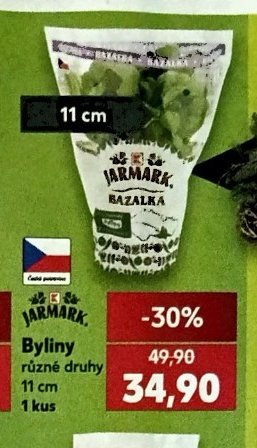 Byliny bazalka