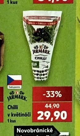 Chilli v květináči