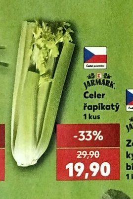 Celer řapíkatý