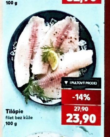 Tilápie