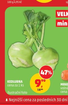 Kedlubna