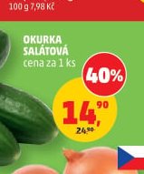 Okurka salátová