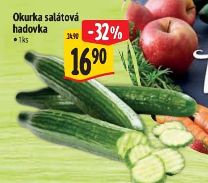Okurka salátová hadovka