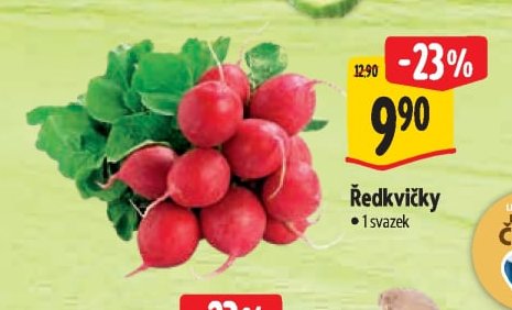 Ředkvičky