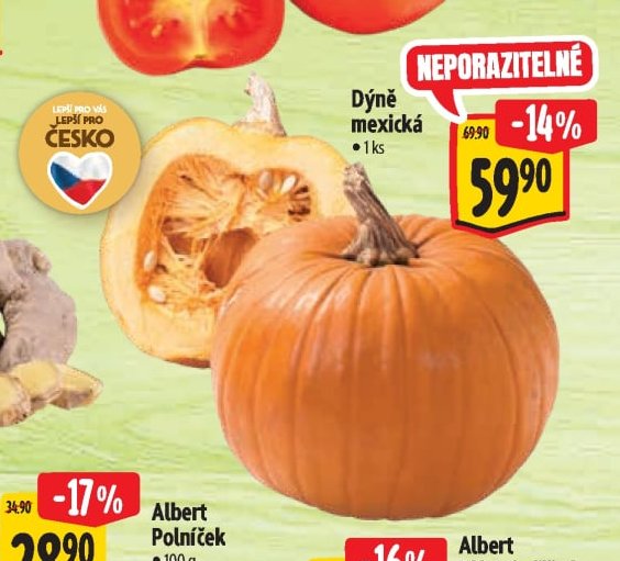 Dýně mexická