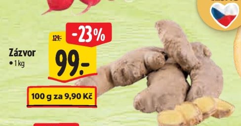Zázvor