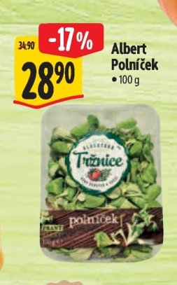 Albert Polníček