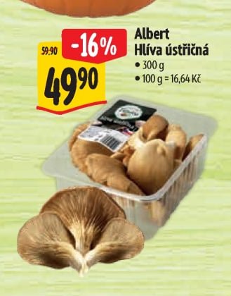 Albert Hlíva ústřičná