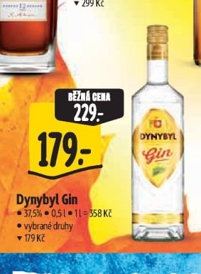 Dynybyl Gin