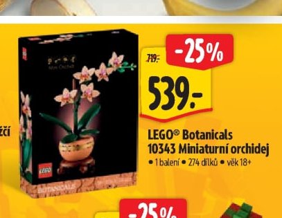 LEGO Botanicals 10343 Miniaturní orchidej