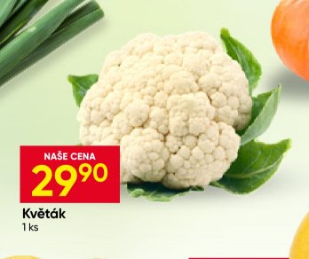 Květák