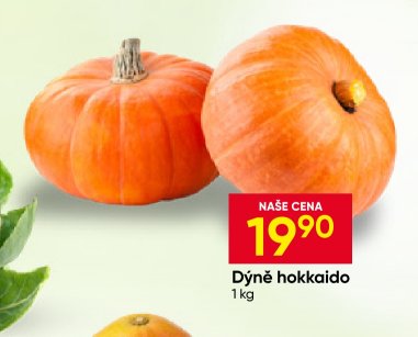 Dýně hokkaido