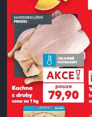 Kachna s droby