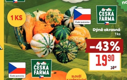 Dýně okrasná 1 ks