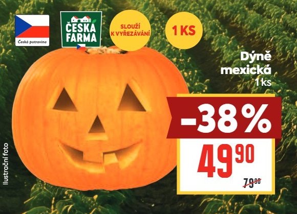 Dýně mexická 1 ks