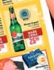 Pivo