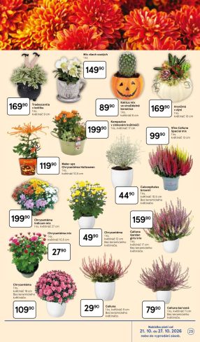 aktuální leták Tesco 21.10.2026-27.10.2026
