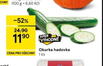 Okurka hadovka 1 ks