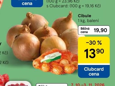 Cibule