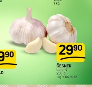 ČESNEK