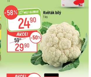 Květák bílý