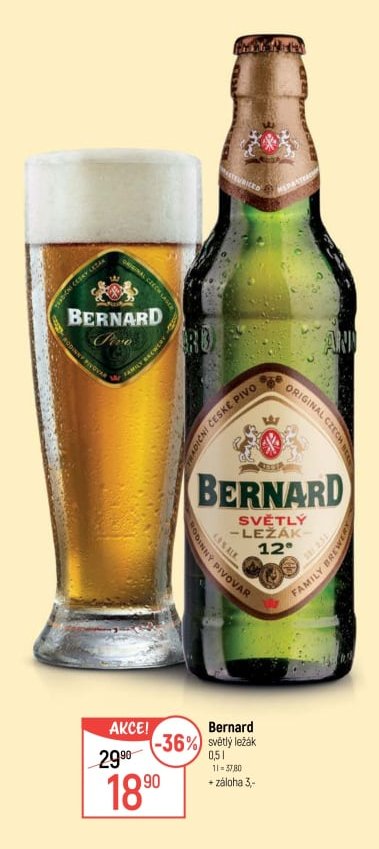 Bernard světlý ležák