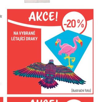 Draci