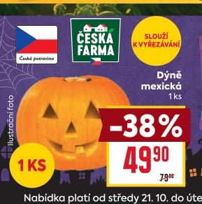 Dýně mexická